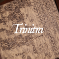 Trinitra Carpet Mat ( set of 2)